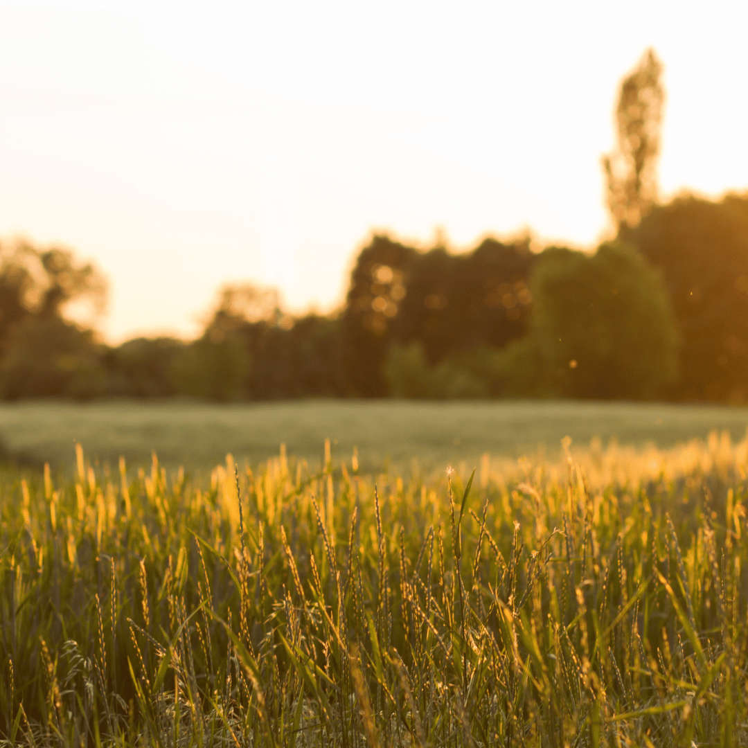 Pitman Borough Council Land Acquisition South Jersey Land For Sale